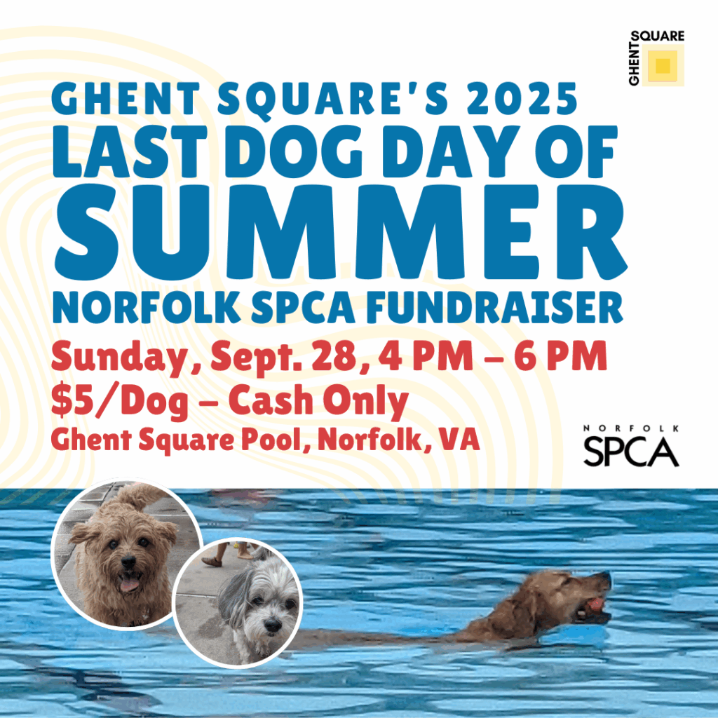 Last Dog Day of Summer at the Ghent Square Pool